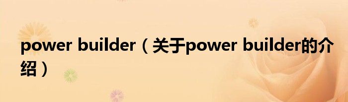 power builder（关于power builder的介绍）