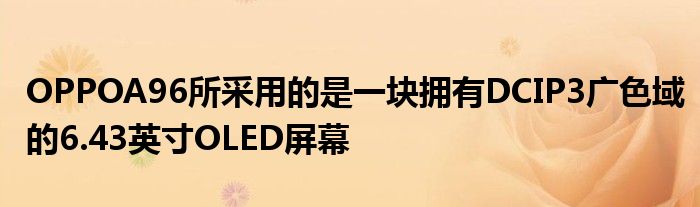 OPPOA96所采用的是一块拥有DCIP3广色域的6.43英寸OLED屏幕