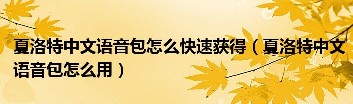 夏洛特中文语音包怎么快速获得（夏洛特中文语音包怎么用）