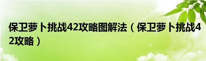 保卫萝卜挑战42攻略图解法（保卫萝卜挑战42攻略）