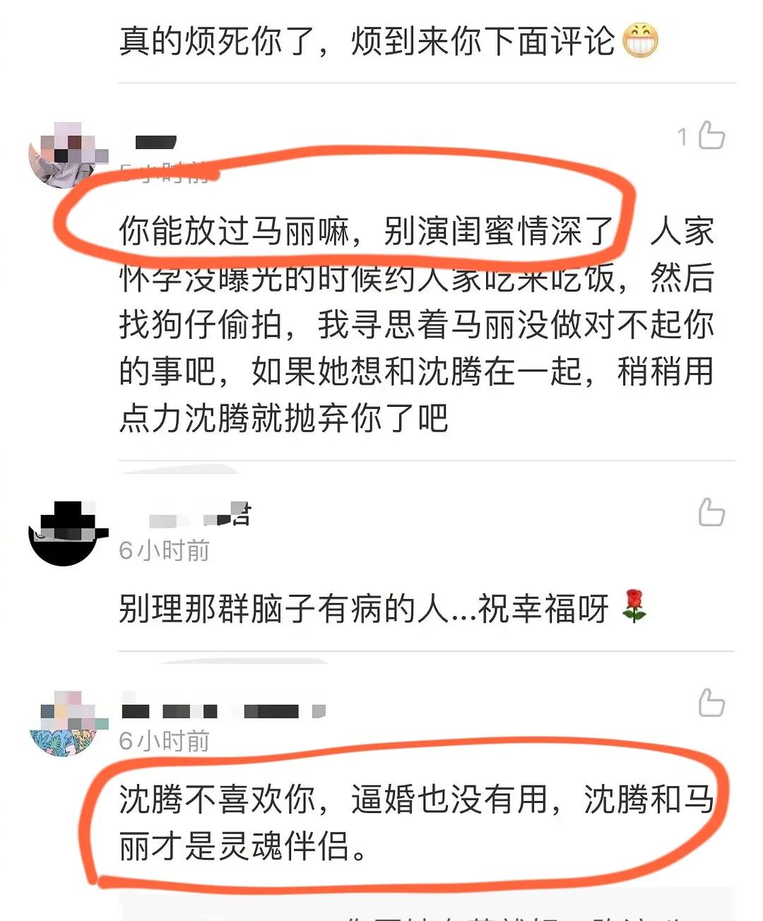 沈腾老婆王琦被网友语言暴力，她沉默不语，CP粉的疯狂不止于此