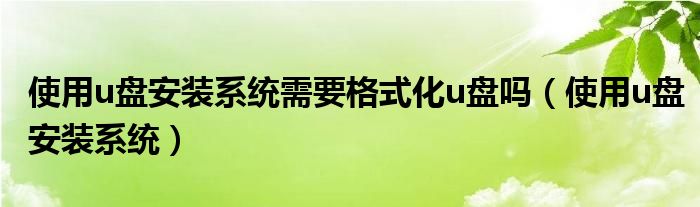 使用u盘安装系统需要格式化u盘吗（使用u盘安装系统）