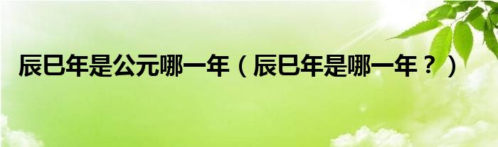 辰巳年是公元哪一年（辰巳年是哪一年？）