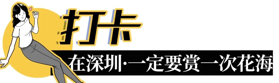 深圳必须去的50个地方，你去过几个？