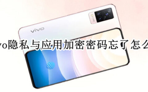 vivo隐私与应用加密密码找回方法介绍