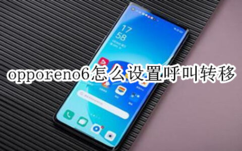 opporeno6设置来电转接步骤介绍