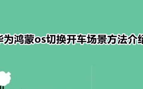 鸿蒙系统驾驶模式在哪开启