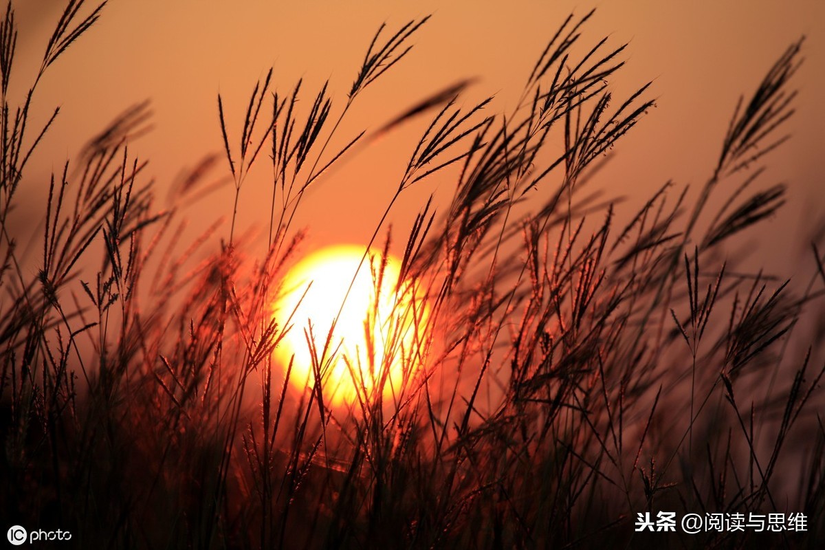 图片[4]-七步成诗的主人公是谁(曹植七步成诗的故事是什么)-欣欣百科网