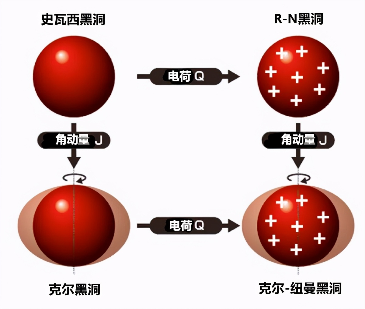 白洞vs黑洞虫洞图片