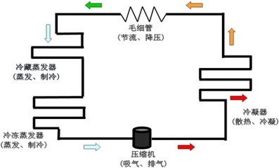 一年不在家冰箱该怎么办呢（家里长期没人冰箱要不要断电）