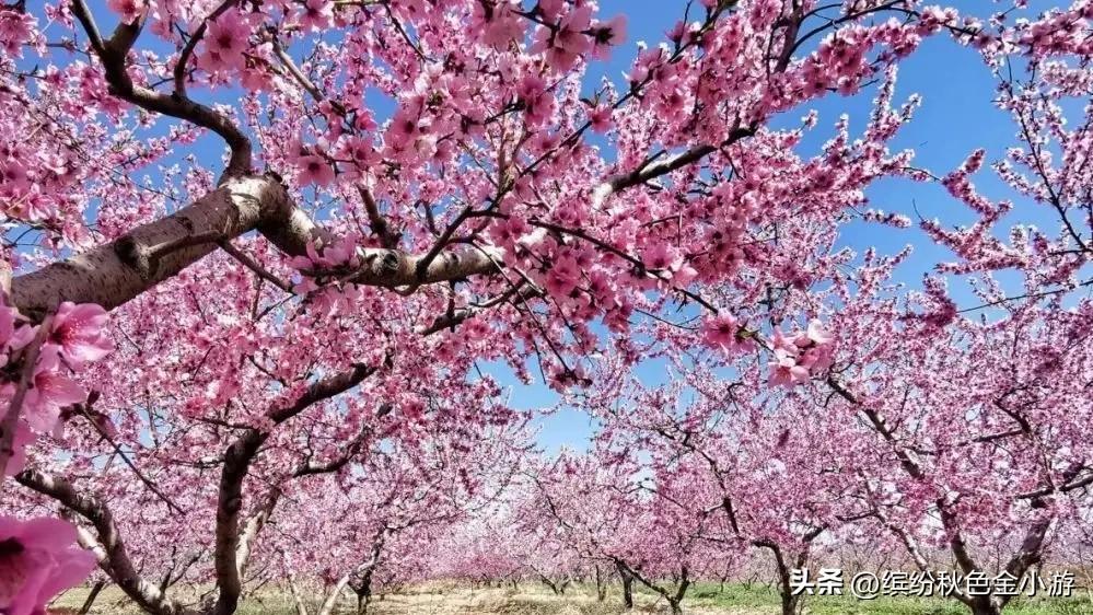 北京平谷旅游景点排名（平谷必去的景点推荐）