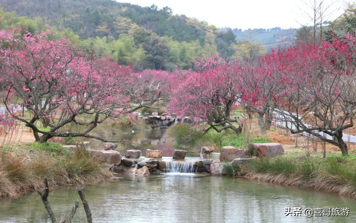 长兴旅游景点有哪些（湖州长兴县自驾游十大景区推荐）