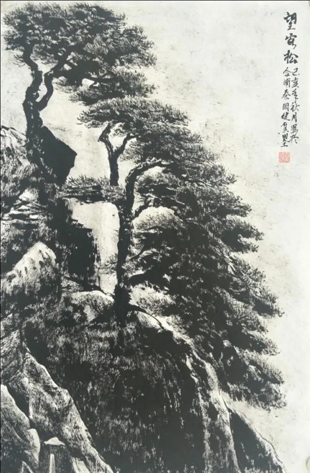 图片[10]-黄山十大名松排名(黄山十大名松叫什么)-欣欣百科网