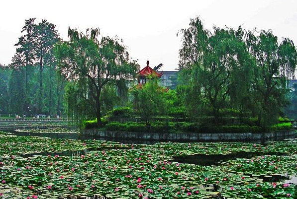 图片[5]-国内十大最美大学校园(国内十大最美校园名单出炉)-欣欣百科网