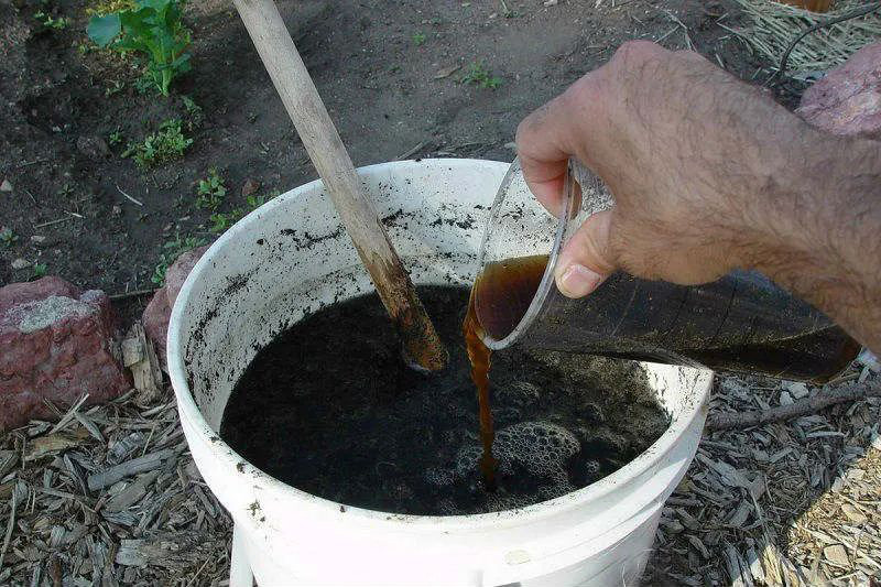 草木灰哪些植物不能用（草木灰太多会烧根植物会死吗）