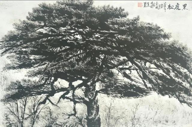 图片[18]-黄山十大名松排名(黄山十大名松叫什么)-欣欣百科网