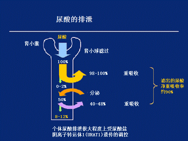 图片[5]-人每天喝多少水最好(每天喝多少水最靠谱)-欣欣百科网