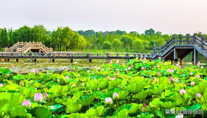 长兴旅游景点有哪些（湖州长兴县自驾游十大景区推荐）