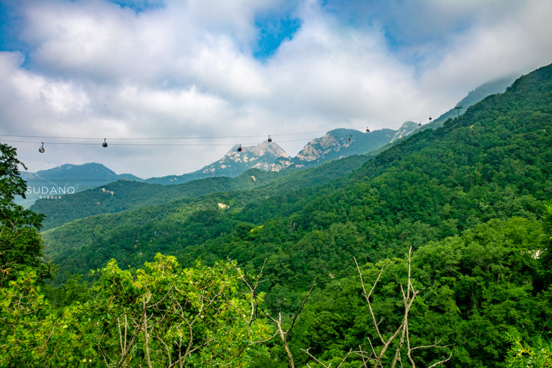 五岳之首是哪座山（五岳之首位于哪个省哪个城市）