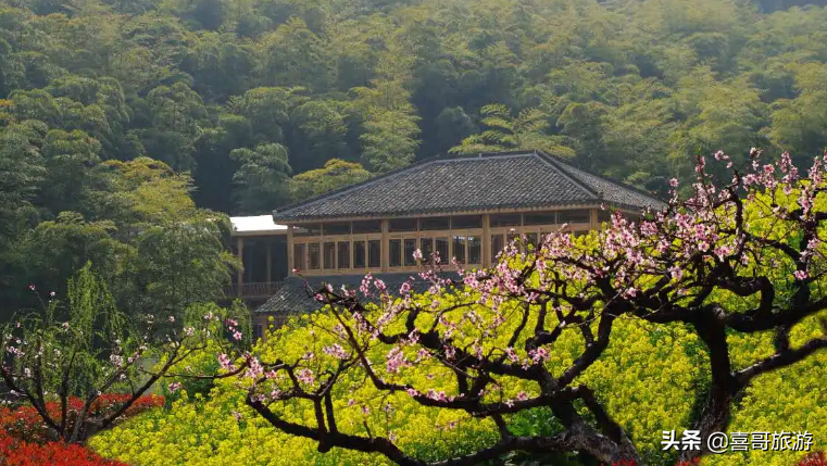 长兴旅游景点有哪些（湖州长兴县自驾游十大景区推荐）