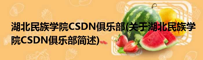 湖北民族学院CSDN俱乐部(关于湖北民族学院CSDN俱乐部简述)