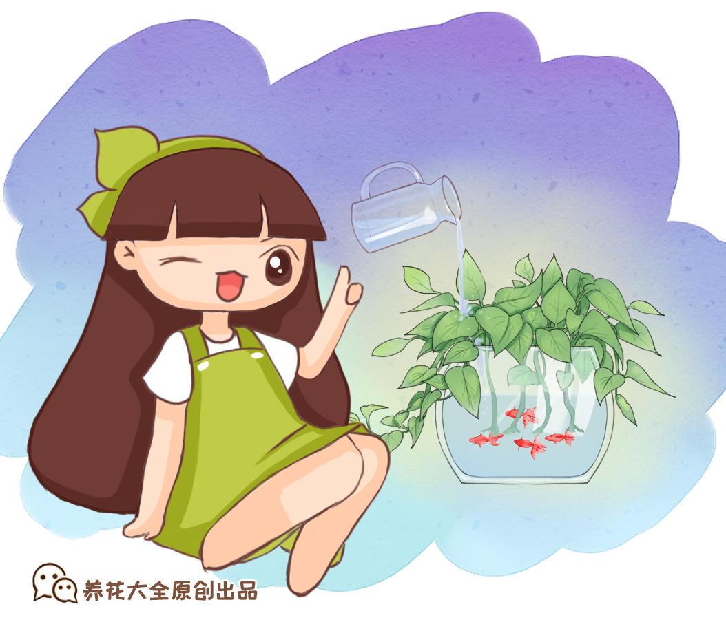 薄荷怎么养 盆栽（薄荷养护及注意事项）