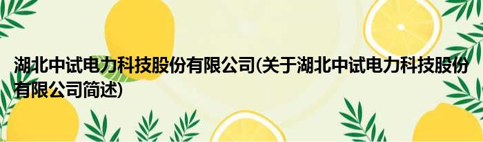 湖北中试电力科技股份有限公司(关于湖北中试电力科技股份有限公司简述)