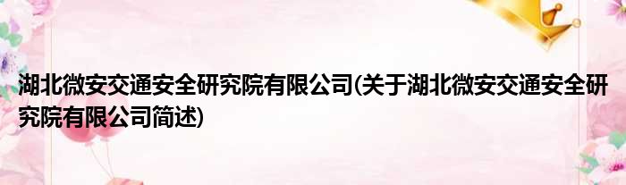 湖北微安交通安全研究院有限公司(关于湖北微安交通安全研究院有限公司简述)