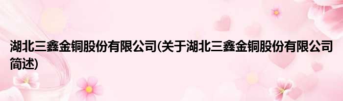 湖北三鑫金铜股份有限公司(关于湖北三鑫金铜股份有限公司简述)