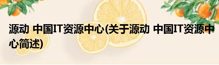源动 中国IT资源中心(关于源动 中国IT资源中心简述)