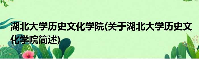 湖北大学历史文化学院，关于湖北大学历史文化学院简述(附2023年最新排行榜前十名单)