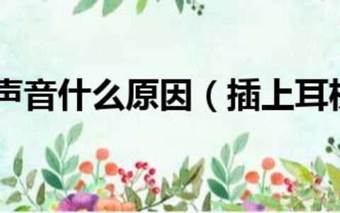 插上耳机无声音什么原因（插上耳机无声音）