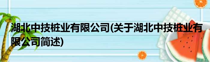 湖北中技桩业有限公司(关于湖北中技桩业有限公司简述)