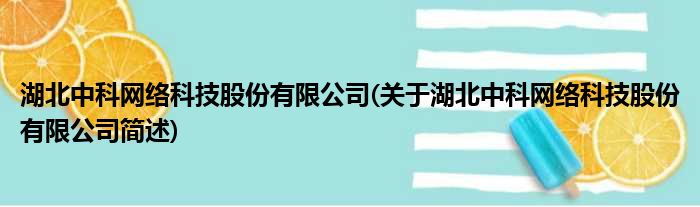 湖北中科网络科技股份有限公司(关于湖北中科网络科技股份有限公司简述)