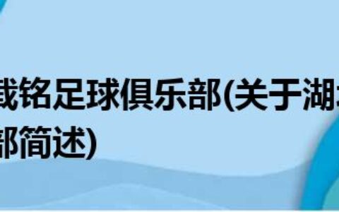 湖北武体载铭足球俱乐部(关于湖北武体载铭足球俱乐部简述)