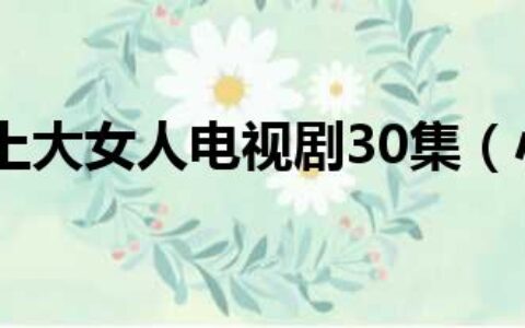 小男人遇上大女人电视剧30集（小男人大女人）