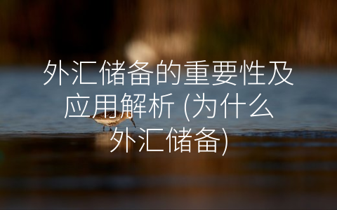 外汇储备的重要性及应用解析，，为什么外汇储备(附2023年最新排行榜前十名单)