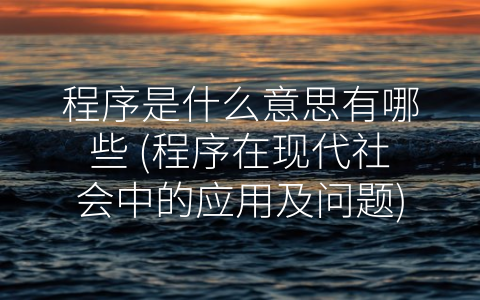 程序是什么意思有哪些 程序在现代社会中的应用及问题