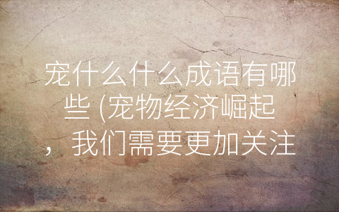 宠什么什么成语有哪些 宠物经济崛起 我们需要更加关注宠物与人类的和谐共处。