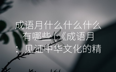 成语月什么什么什么有哪些 《成语月：见证中华文化的精华》