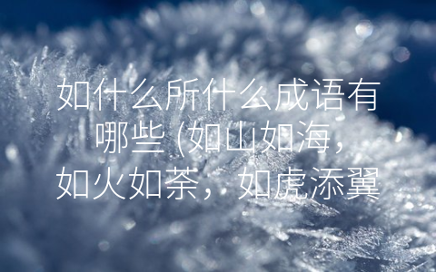 如什么所什么成语有哪些 (如山如海，如火如荼，如虎添翼——探讨中文成语的魅力)