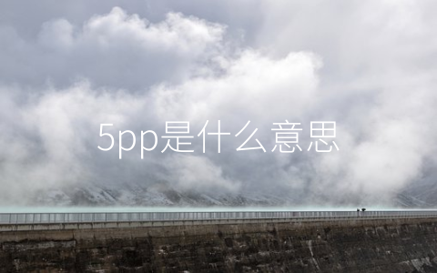 5pp是什么意思