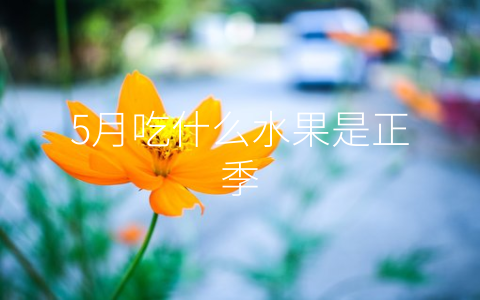 5月吃什么水果是正季