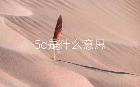 5d是什么意思