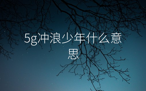 5g冲浪少年什么意思