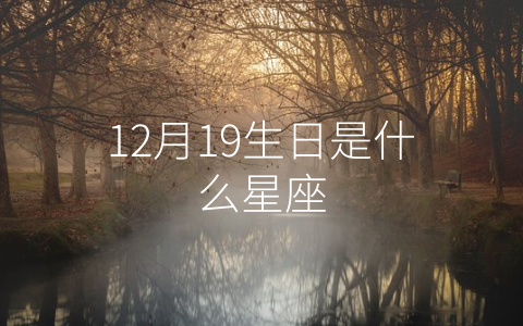 12月19生日是什么星座