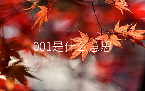 001是什么意思