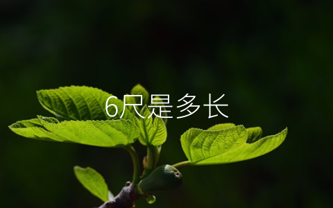 6尺是多长