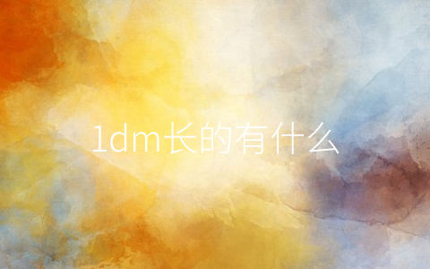 1dm长的有什么