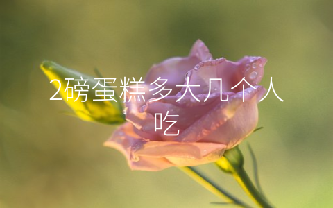 2磅蛋糕多大几个人吃